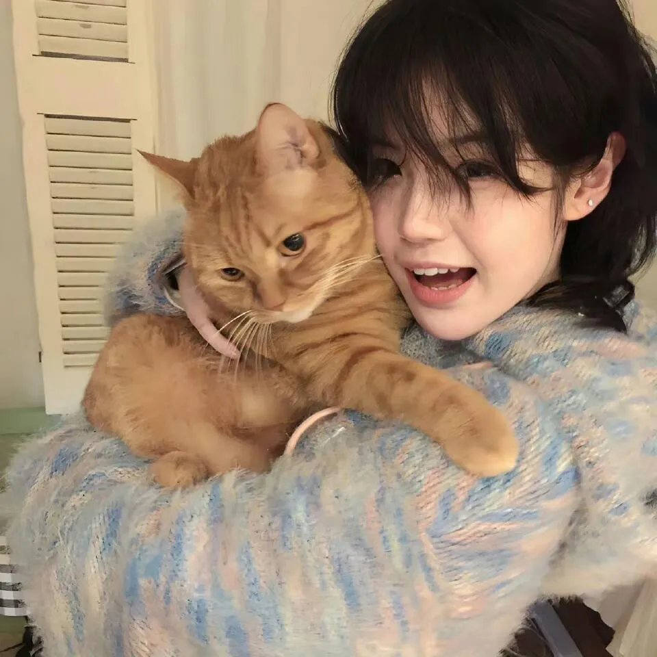 日本办公室奇葩传2016